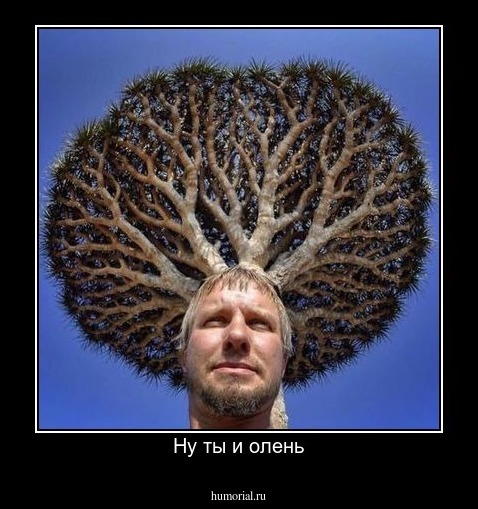 Ну ты и олень