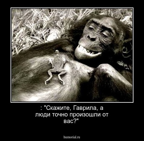 : "Скажите, Гаврила, а люди точно произошли от вас?"