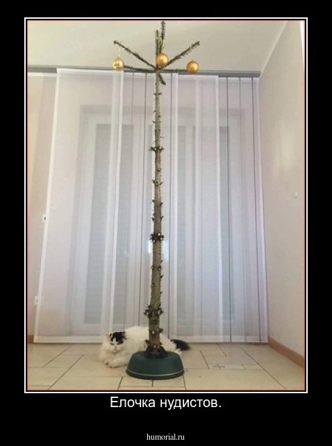 Елочка нудистов.