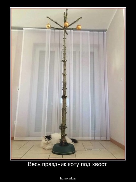 Весь праздник коту под хвост.
