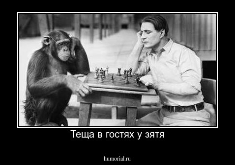 Теща в гостях у зятя