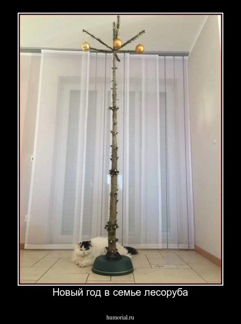 Новый год в семье лесоруба