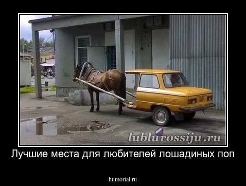 Лучшие места для любителей лошадиных поп