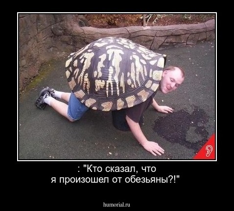  : "Кто сказал, что я произошел от обезьяны?!"