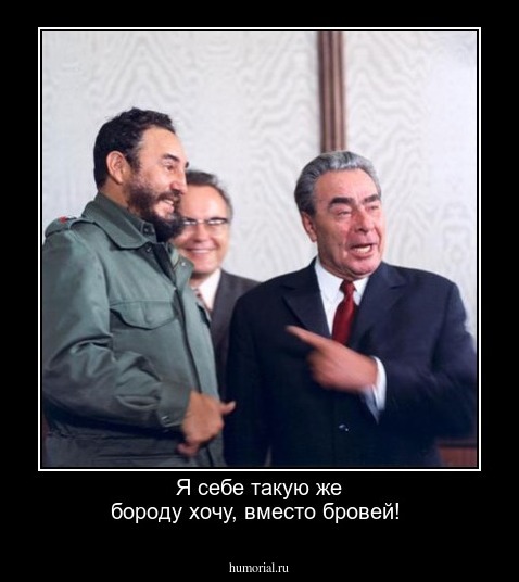 Я себе такую же бороду хочу, вместо бровей!