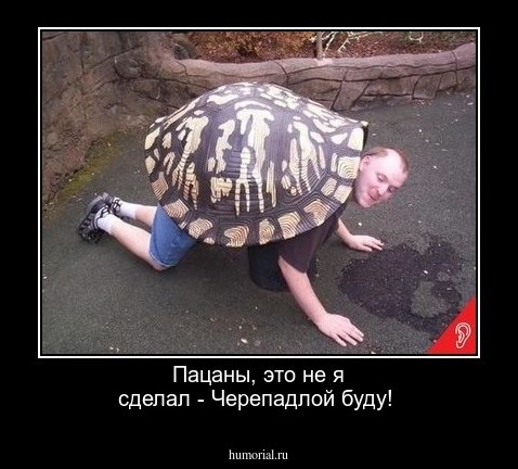 Пацаны, это не я сделал - Черепадлой буду!
