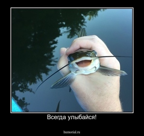 Всегда улыбайся!