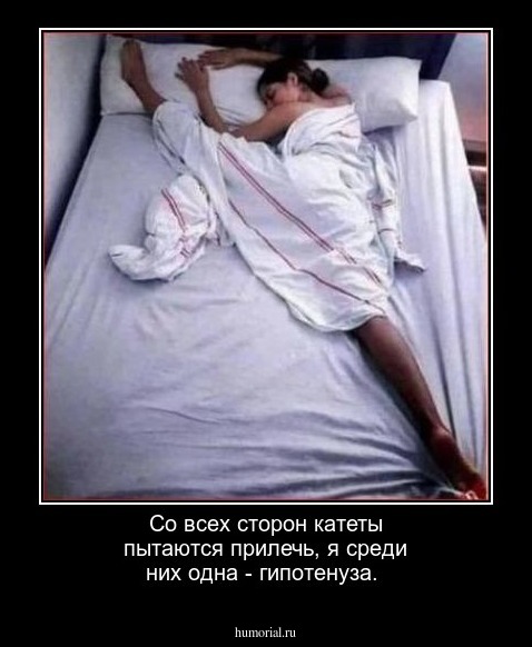 Со всех сторон катеты пытаются прилечь, я среди них одна - гипотенуза.