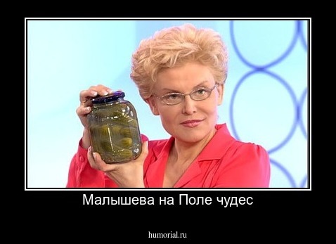 Малышева на Поле чудес
