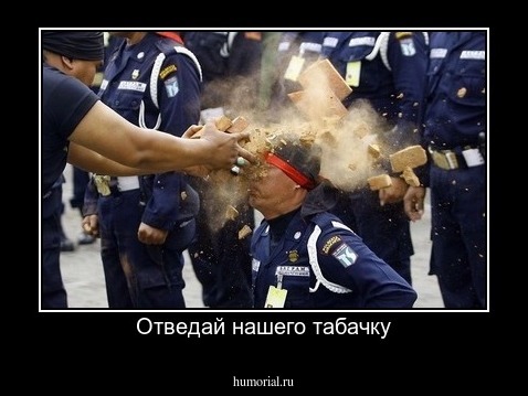 Отведай нашего табачку