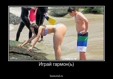 Играй гармон(ь)