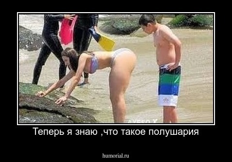 Теперь я знаю ,что такое полушария
