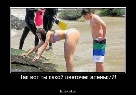 Так вот ты какой цветочек аленький!