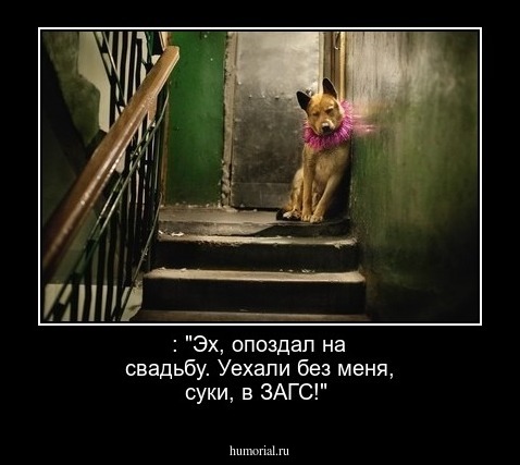 : "Эх, опоздал на свадьбу. Уехали без меня, суки, в ЗАГС!"