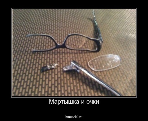 Мартышка и очки