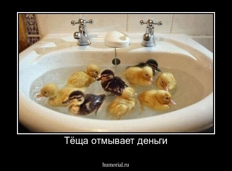 Тёща отмывает деньги