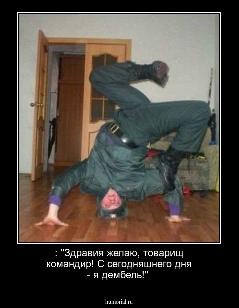: "Здравия желаю, товарищ командир! С сегодняшнего дня - я дембель!" 
