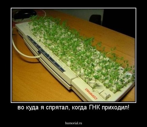 во куда я спрятал, когда ГНК приходил!