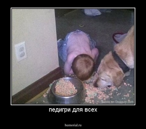 педигри для всех