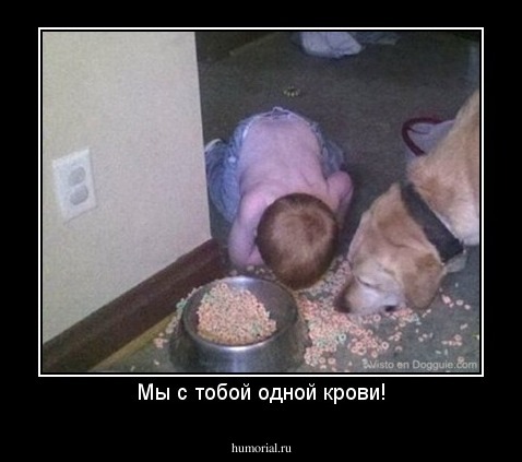 Мы с тобой одной крови!