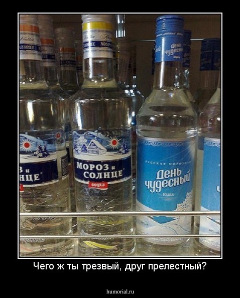 Чего ж ты трезвый, друг прелестный?