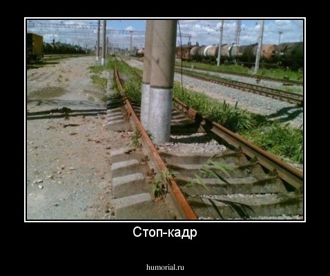 Стоп-кадр