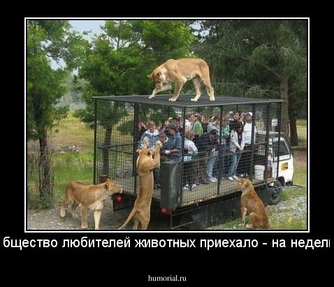 Общество любителей животных приехало - на неделю!