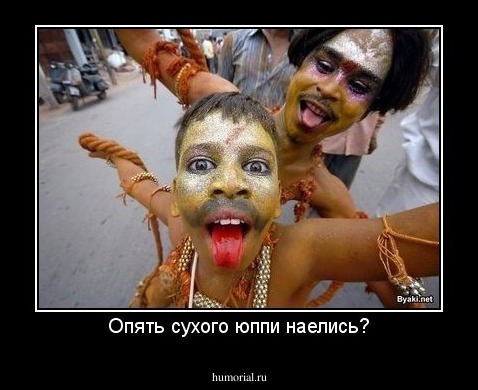 Опять сухого юппи наелись?