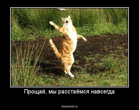 Прощай, мы расстаёмся навсегда
