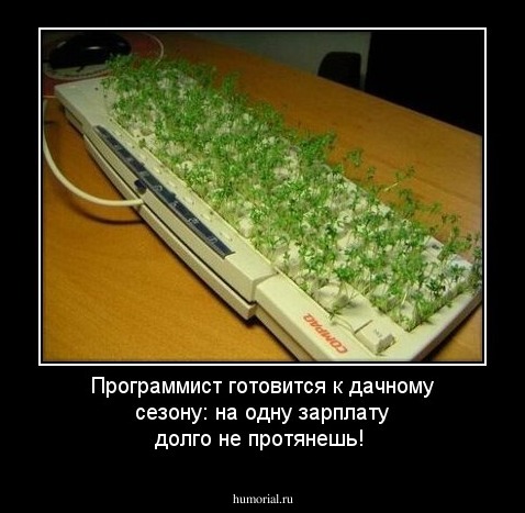 Программист готовится к дачному сезону: на одну зарплату долго не протянешь!