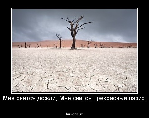 Мне снятся дожди, Мне снится прекрасный оазис.