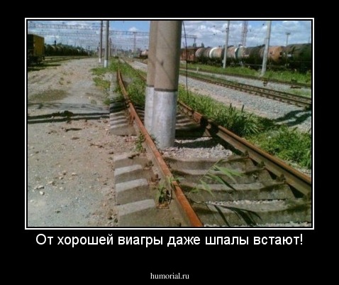 От хорошей виагры даже шпалы встают!