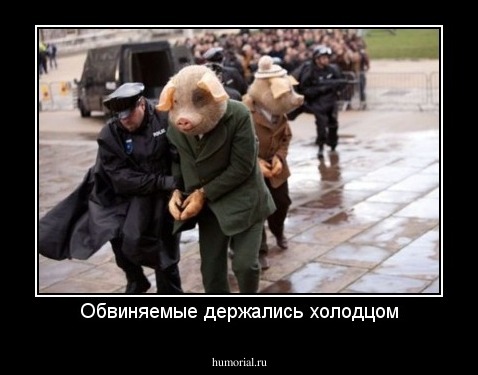 Обвиняемые держались холодцом