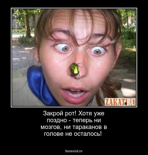 Закрой рот! Хотя уже поздно - теперь ни мозгов, ни тараканов в голове не осталось!