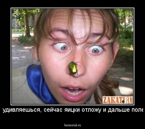 че удивляешься, сейчас яицки отложу и дальше полечу