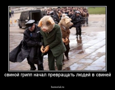 свиной грипп начал превращать людей в свиней