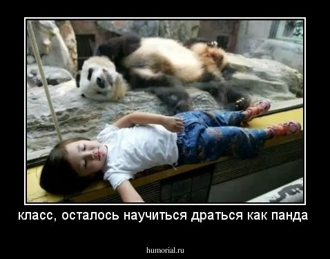 класс, осталось научиться драться как панда 