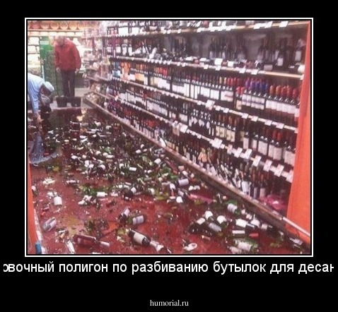 Тренировочный полигон по разбиванию бутылок для десантников.