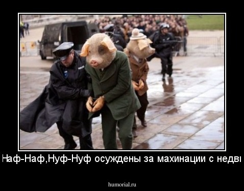 Ниф-ниф, Наф-Наф,Нуф-Нуф осуждены за махинации с недвижимостью