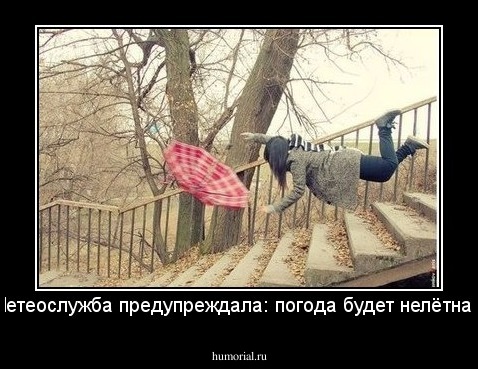 Метеослужба предупреждала: погода будет нелётная!