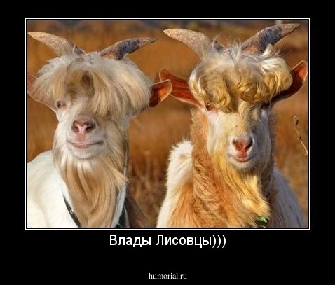 Влады Лисовцы)))