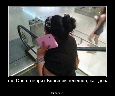 але Слон говорит Большой телефон, как дела
