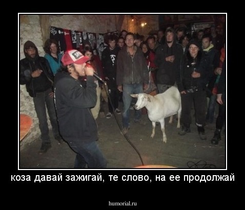 коза давай зажигай, те слово, на ее продолжай