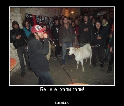 Бе- е-е, хали-гали!