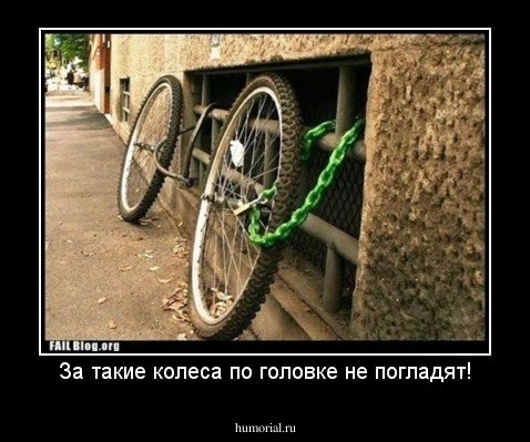 За такие колеса по головке не погладят!