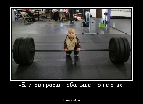 -Блинов просил побольше, но не этих!