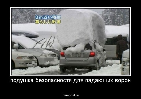 подушка безопасности для падающих ворон