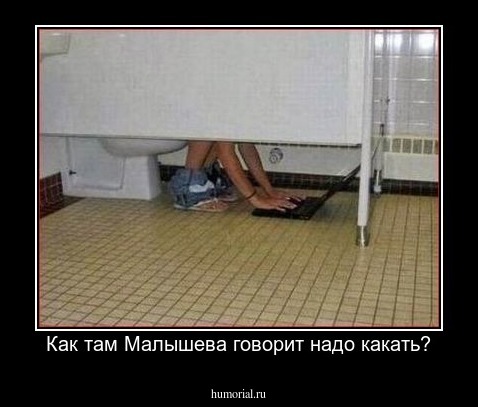 Как там Малышева говорит надо какать?