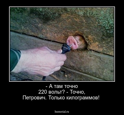 - А там точно 220 вольт? - Точно, Петрович. Только килограммов!