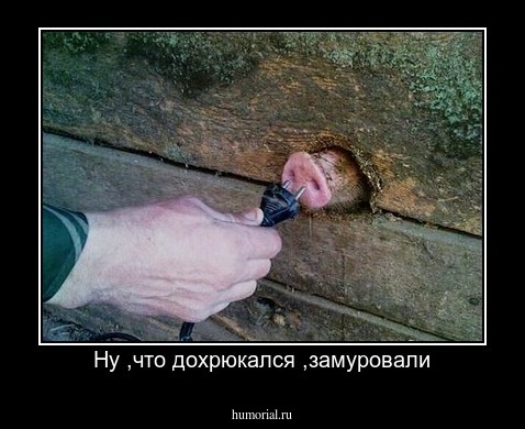 Ну ,что дохрюкался ,замуровали